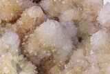 Cactus Quartz (Amethyst) Crystal Cluster - South Africa #206193-2